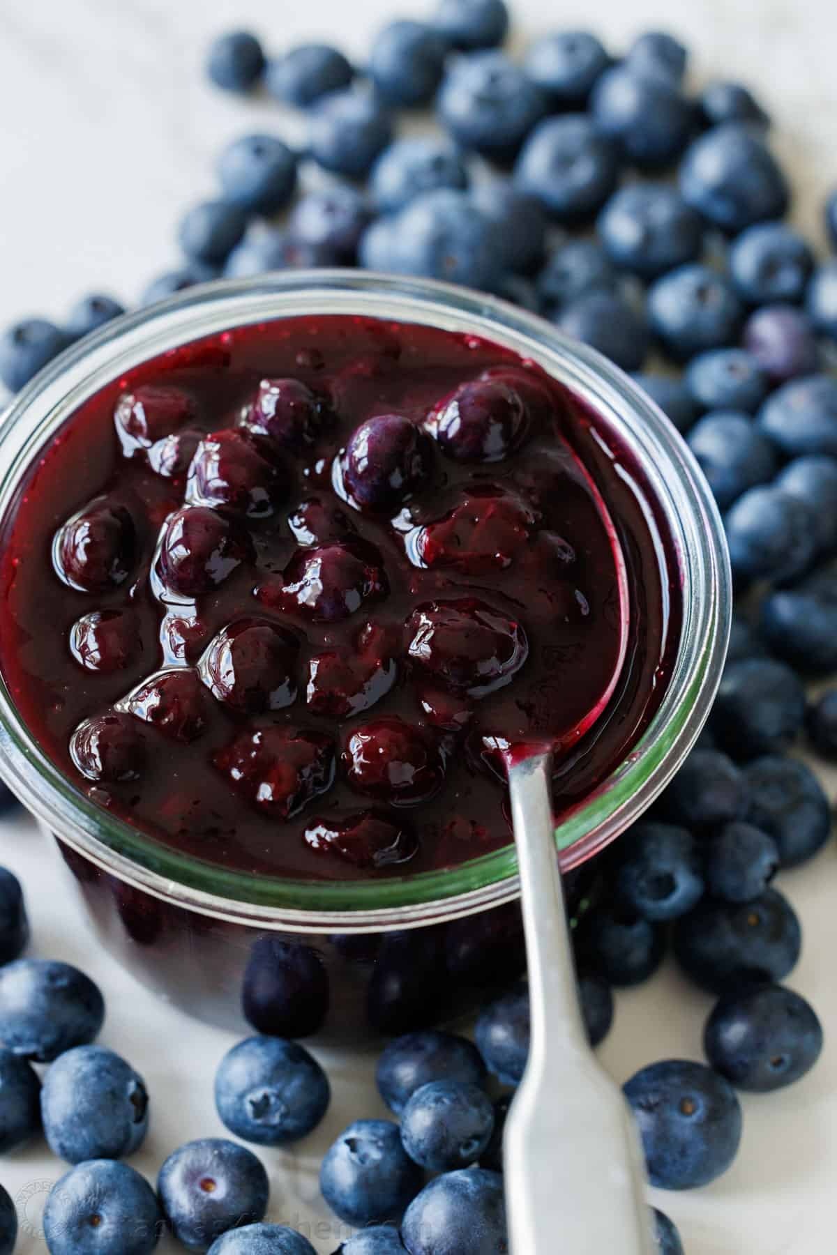 Blueberry Sauce Recipe (Blueberry Topping)